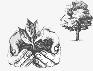 environment protection