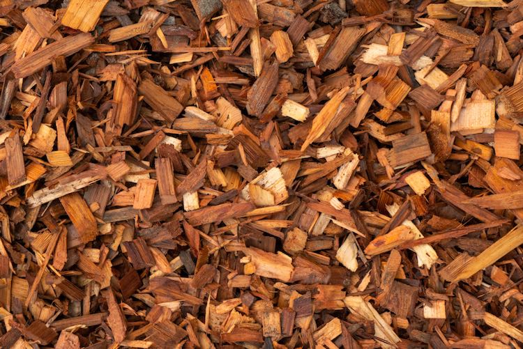 wood chips for cold smoking